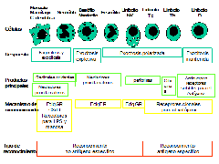 clip_image002