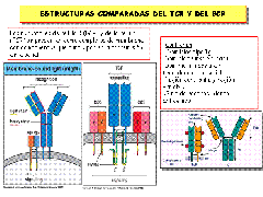 clip_image002