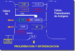 clip_image002