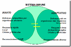 clip_image002[4]