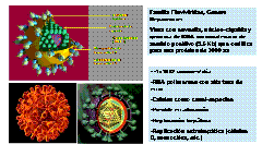 clip_image002[4]