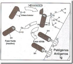 clip_image004