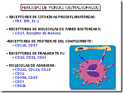 clip_image006