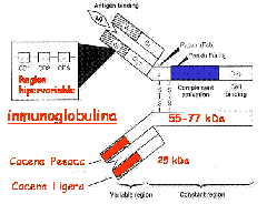 clip_image006