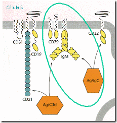 clip_image006