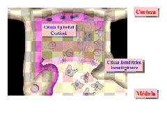 clip_image007