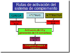clip_image008[1]
