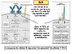 clip_image010