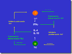 clip_image010[4]