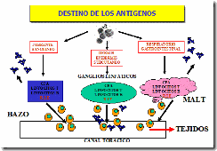 clip_image011