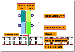 clip_image014