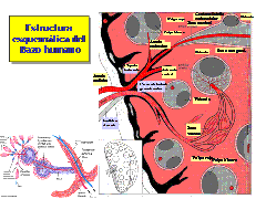 clip_image015