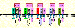 clip_image016[4]