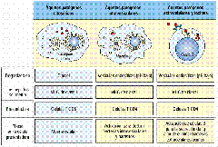 clip_image020