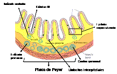 clip_image021