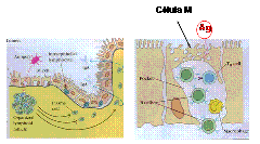 clip_image023