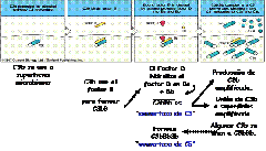clip_image024