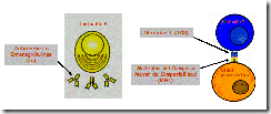 clip_image024[4]