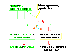 clip_image025