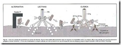 clip_image028