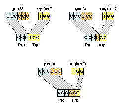 clip_image028