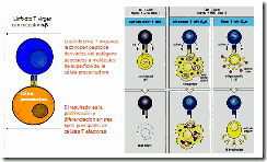 clip_image028[4]